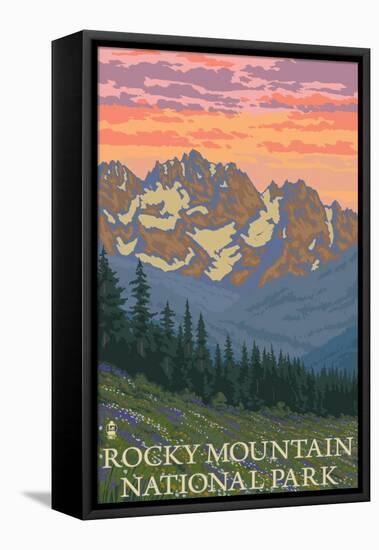 Rocky Mountain National Park, Co - Spring Flowers, c.2009-Lantern Press-Framed Stretched Canvas