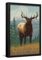 Rocky Mountain National Park, Colorado, Elk Scene-null-Framed Poster