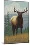 Rocky Mountain National Park, Colorado, Elk Scene-Lantern Press-Mounted Art Print