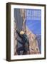 Rocky Mountain National Park, Colorado, Rock Climber-Lantern Press-Framed Art Print