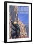 Rocky Mountain National Park, Colorado, Rock Climber-Lantern Press-Framed Art Print