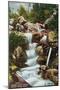 Rocky Mountain National Park, Colorado, View of Horseshoe Falls in Estes Park-Lantern Press-Mounted Art Print