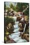 Rocky Mountain National Park, Colorado, View of Horseshoe Falls in Estes Park-Lantern Press-Stretched Canvas