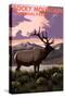 Rocky Mountain National Park - Elk and Sunset-Lantern Press-Stretched Canvas