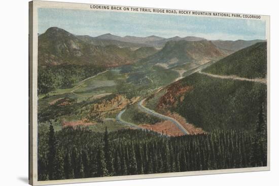 Rocky Mountain National Park - Trail Ridge Road-Lantern Press-Stretched Canvas