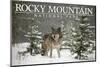 Rocky Mountain National Park - Wolf in Snow - Lantern Press Photography (James T. Jones)-Lantern Press-Mounted Photographic Print