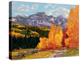 Rocky Mountain Road in Autumn-Robert Moore-Stretched Canvas