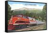 Rocky Mountain Rocket Train-null-Framed Stretched Canvas