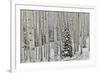 Rocky Mountains aspen grove autumn snows, Keebler Pass, Colorado.-Darrell Gulin-Framed Photographic Print