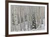 Rocky Mountains aspen grove autumn snows, Keebler Pass, Colorado.-Darrell Gulin-Framed Photographic Print