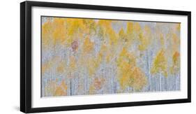 Rocky Mountains, Colorado. Fall Colors of Aspens and fresh snow Keebler Pass-Darrell Gulin-Framed Photographic Print