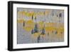 Rocky Mountains, Colorado. Fall Colors of Aspens and fresh snow Keebler Pass-Darrell Gulin-Framed Photographic Print