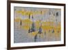 Rocky Mountains, Colorado. Fall Colors of Aspens and fresh snow Keebler Pass-Darrell Gulin-Framed Photographic Print