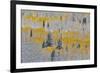 Rocky Mountains, Colorado. Fall Colors of Aspens and fresh snow Keebler Pass-Darrell Gulin-Framed Photographic Print