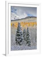 Rocky Mountains, Colorado. Fall Colors of Aspens and fresh snow Keebler Pass-Darrell Gulin-Framed Premium Photographic Print