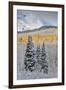 Rocky Mountains, Colorado. Fall Colors of Aspens and fresh snow Keebler Pass-Darrell Gulin-Framed Premium Photographic Print