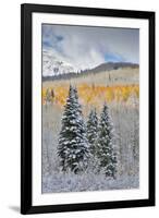 Rocky Mountains, Colorado. Fall Colors of Aspens and fresh snow Keebler Pass-Darrell Gulin-Framed Premium Photographic Print