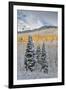 Rocky Mountains, Colorado. Fall Colors of Aspens and fresh snow Keebler Pass-Darrell Gulin-Framed Premium Photographic Print