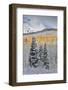 Rocky Mountains, Colorado. Fall Colors of Aspens and fresh snow Keebler Pass-Darrell Gulin-Framed Photographic Print