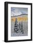 Rocky Mountains, Colorado. Fall Colors of Aspens and fresh snow Keebler Pass-Darrell Gulin-Framed Photographic Print