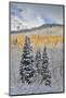 Rocky Mountains, Colorado. Fall Colors of Aspens and fresh snow Keebler Pass-Darrell Gulin-Mounted Photographic Print