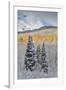 Rocky Mountains, Colorado. Fall Colors of Aspens and fresh snow Keebler Pass-Darrell Gulin-Framed Photographic Print