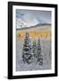 Rocky Mountains, Colorado. Fall Colors of Aspens and fresh snow Keebler Pass-Darrell Gulin-Framed Photographic Print