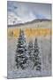Rocky Mountains, Colorado. Fall Colors of Aspens and fresh snow Keebler Pass-Darrell Gulin-Mounted Photographic Print