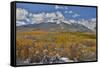 Rocky Mountains, Colorado. Fall Colors of Aspens and fresh snow Keebler Pass-Darrell Gulin-Framed Stretched Canvas