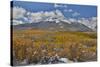 Rocky Mountains, Colorado. Fall Colors of Aspens and fresh snow Keebler Pass-Darrell Gulin-Stretched Canvas