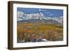 Rocky Mountains, Colorado. Fall Colors of Aspens and fresh snow Keebler Pass-Darrell Gulin-Framed Photographic Print