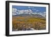 Rocky Mountains, Colorado. Fall Colors of Aspens and fresh snow Keebler Pass-Darrell Gulin-Framed Photographic Print