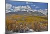 Rocky Mountains, Colorado. Fall Colors of Aspens and fresh snow Keebler Pass-Darrell Gulin-Mounted Photographic Print