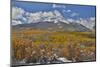 Rocky Mountains, Colorado. Fall Colors of Aspens and fresh snow Keebler Pass-Darrell Gulin-Mounted Photographic Print