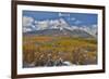 Rocky Mountains, Colorado. Fall Colors of Aspens and fresh snow Keebler Pass-Darrell Gulin-Framed Photographic Print