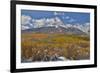 Rocky Mountains, Colorado. Fall Colors of Aspens and fresh snow Keebler Pass-Darrell Gulin-Framed Photographic Print