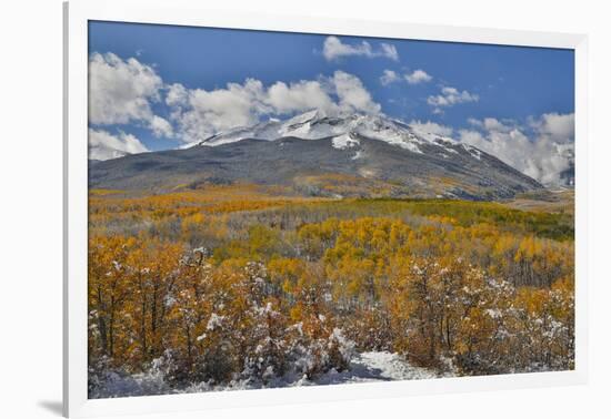 Rocky Mountains, Colorado. Fall Colors of Aspens and fresh snow Keebler Pass-Darrell Gulin-Framed Photographic Print