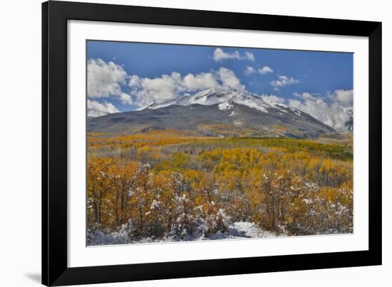 Rocky Mountains, Colorado. Fall Colors of Aspens and fresh snow Keebler Pass-Darrell Gulin-Framed Photographic Print