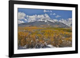 Rocky Mountains, Colorado. Fall Colors of Aspens and fresh snow Keebler Pass-Darrell Gulin-Framed Photographic Print