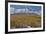 Rocky Mountains, Colorado. Fall Colors of Aspens and fresh snow Keebler Pass-Darrell Gulin-Framed Photographic Print