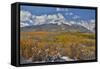 Rocky Mountains, Colorado. Fall Colors of Aspens and fresh snow Keebler Pass-Darrell Gulin-Framed Stretched Canvas