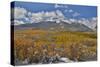 Rocky Mountains, Colorado. Fall Colors of Aspens and fresh snow Keebler Pass-Darrell Gulin-Stretched Canvas