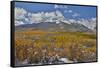 Rocky Mountains, Colorado. Fall Colors of Aspens and fresh snow Keebler Pass-Darrell Gulin-Framed Stretched Canvas