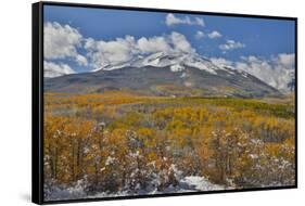 Rocky Mountains, Colorado. Fall Colors of Aspens and fresh snow Keebler Pass-Darrell Gulin-Framed Stretched Canvas