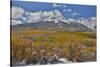 Rocky Mountains, Colorado. Fall Colors of Aspens and fresh snow Keebler Pass-Darrell Gulin-Stretched Canvas