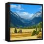 Rocky Mountains National Park Vista, Colorado,USA-Anna Miller-Framed Stretched Canvas