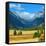 Rocky Mountains National Park Vista, Colorado,USA-Anna Miller-Framed Stretched Canvas