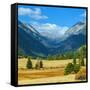 Rocky Mountains National Park Vista, Colorado,USA-Anna Miller-Framed Stretched Canvas