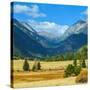 Rocky Mountains National Park Vista, Colorado,USA-Anna Miller-Stretched Canvas