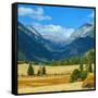 Rocky Mountains National Park Vista, Colorado,USA-Anna Miller-Framed Stretched Canvas